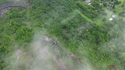 Covered by Forest - Syracuse, NY Stock Footage 336344979