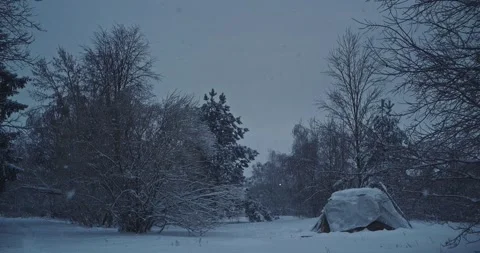Covered Haystack Under Heavy Snow in Dark Moody Winter Forest Stock Footage 333487179