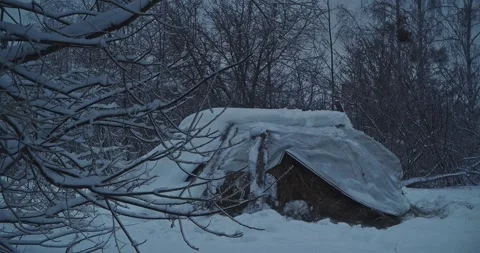 Covered Haystack Under Heavy Snow in Dark Moody Winter Forest Stock Footage 333487233