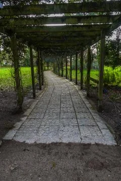 Covered pathway in Winter Stock Photos