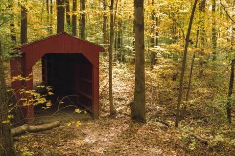 Covered Pedestrian Bridge withe Trees in the Fall Stock Photos