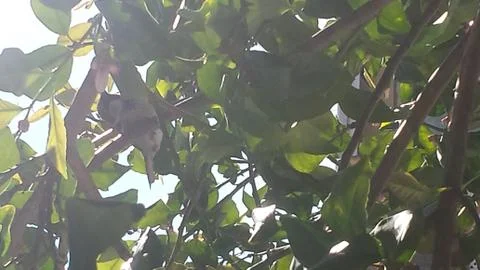 Covered Stock Photos