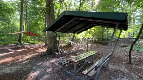 Covered Picnic Table in Forest Recreation Area Stock Footage 342605759