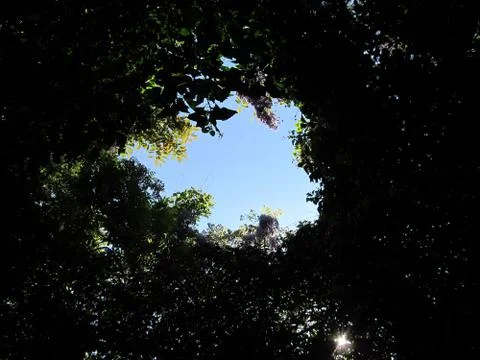 Covered sky Stock Photos