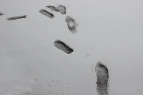 Covered in snow in winter Foto stock
