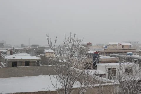 Covered in snow in winter Foto stock