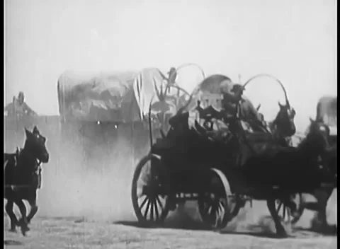 Covered wagon caravan rushing through prairie Stock Footage 260250349