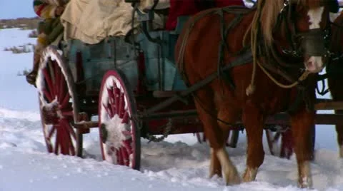 Covered wagon in snow Video stock 11364716