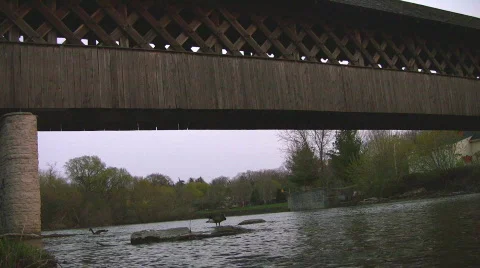 Covered Walking Bridge Stock Footage 418189