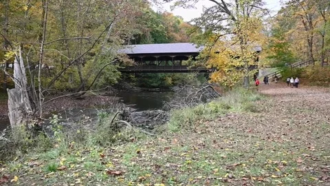 CoveredBridgeHD05 Stock Footage 168311053