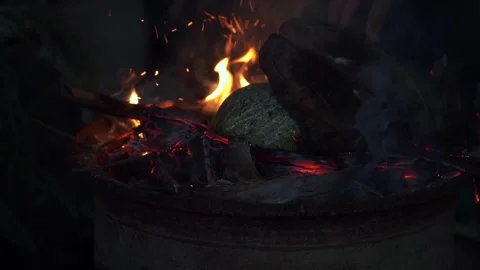 Covering the breadfruit for roasting with coconut skin in fire Stock Footage 311925994
