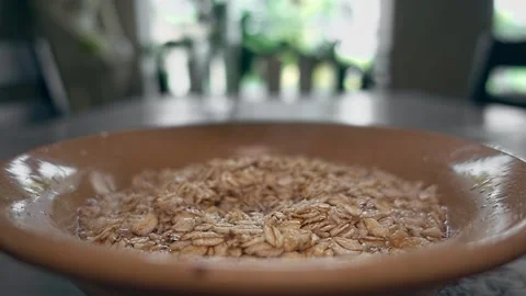 Covering oats with plate Stock Footage 248529534