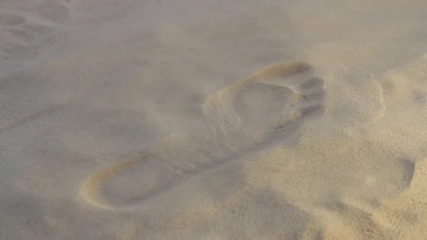 Covers up a human track on sand wind Stock Footage 79996727