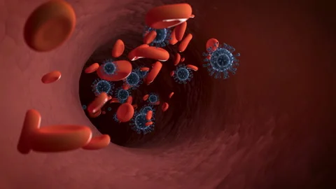 COVID-19 In the Bloodstream Loop Stock Footage 131324305