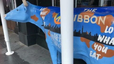 COVID-19 closes bars and restaurants. Blue Ribbon reopen sign. 스톡 동영상 126558366