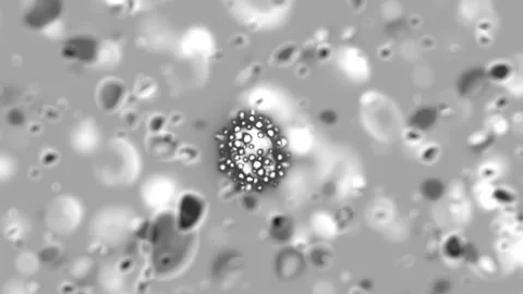 Covid-19 Coronavirus Flows Under the Microscope Stock-Footage 128517034