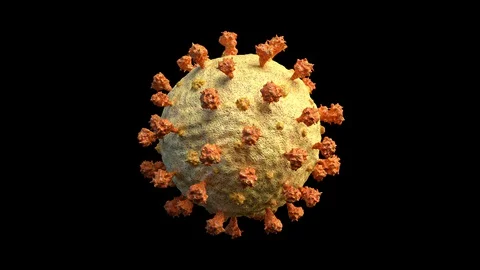 Covid-19 coronavirus Stock Footage 129558389