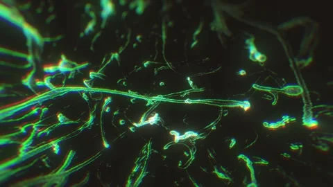 Covid 19 Coronavirus Outbreak Microscope View Background Video stock 245279393