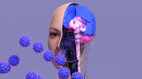 COVID-19 Damage in Olfactory System, SARS-CoV-2 infection in olfactory bulb cell Stock Illustration