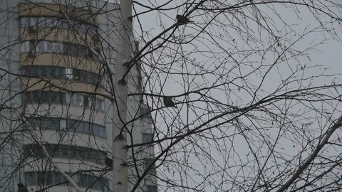 COVID 19 empty city Video stock 125514221