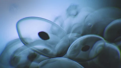 COVID 19 Stock Footage 124605082