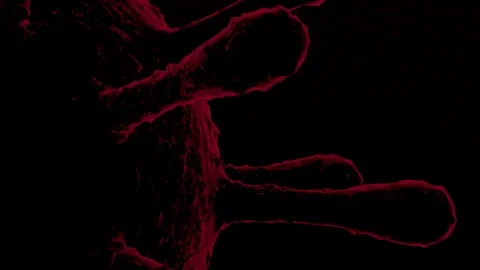 COVID-19 Video stock 126568327