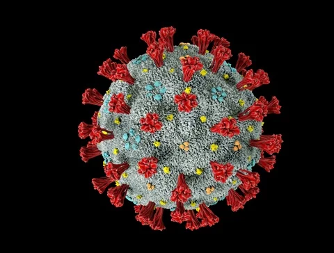 COVID-19 Stock Footage 126749118