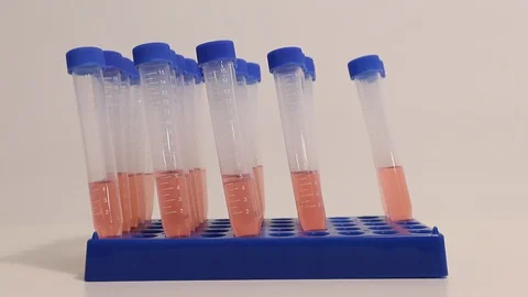 COVID-19 Lab Testing Serum for Swab Nasopharyngeal Testing 스톡 동영상 127794359