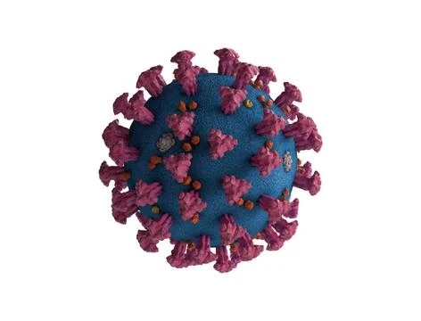 COVID-19 Lambda virus cells on white background. 스톡 일러스트