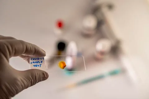 Covid-19 sample Stock Photos