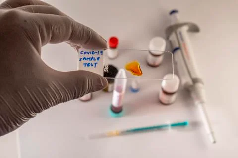 Covid-19 sample Stock Photos