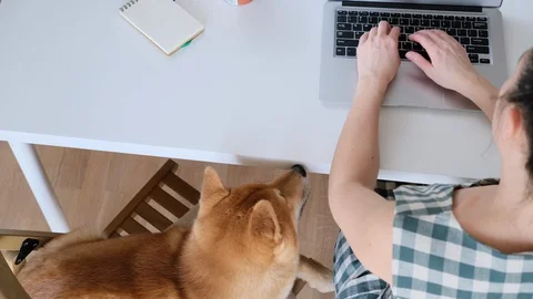 Covid-19 self-isolation and working from home concept. Stock Footage 128980638