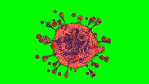 Covid 19 virus Stock Footage 127119658
