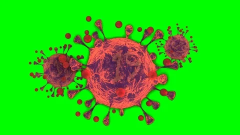 Covid 19 virus Stock Footage 127119662