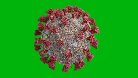 Covid-19 Virus Structure in Electron Microscope Close-up Seamless. Looped 3d Video stock 126933072