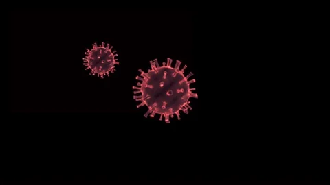 Covid 2019 virus in red frame Stock Footage 127207611