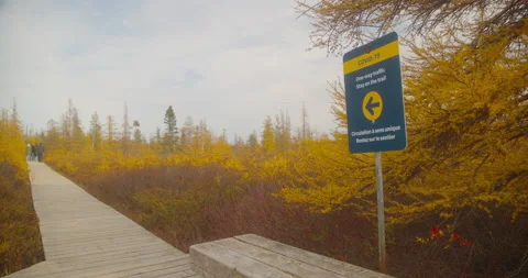 Covid sign Stock Footage 142104294