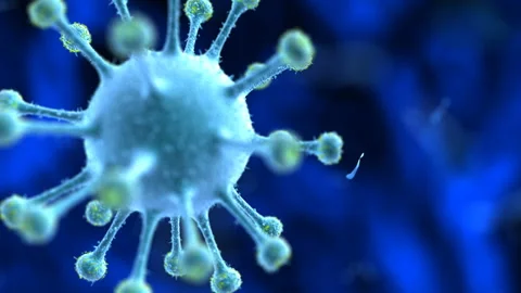 Covid virus Stock Footage 149876511