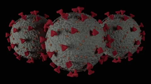 Covid viruses rotating on the black background in seamless loop. 4k animation. Stock Footage 156022470