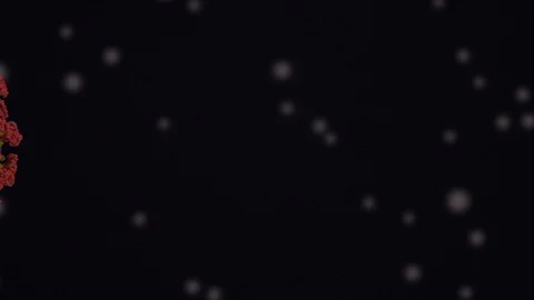 Covid19 - 3d animation - microscope view Stock Footage 129504561