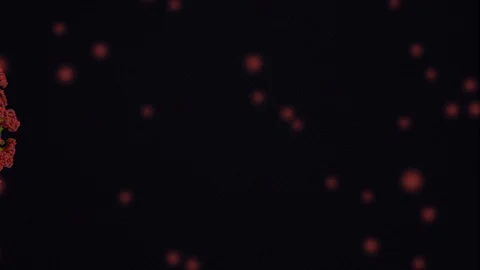 Covid19 - 3d animation - microscope view Stock Footage 129504563