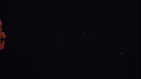 Covid19 - 3d animation - microscope view Stock Footage 129506110