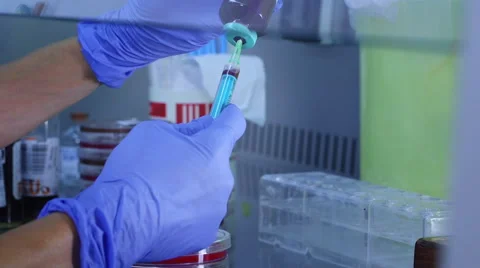 COVID19 blood samples being prepared in a lab Video stock 57768782