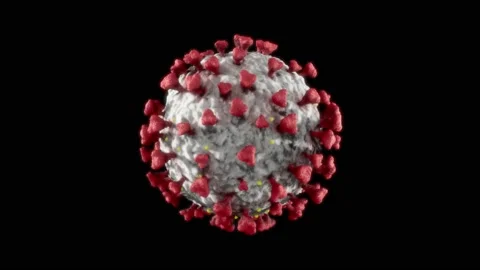 Covid19 Coronavirus Rotating Loop on Black Background 動画素材 132187592