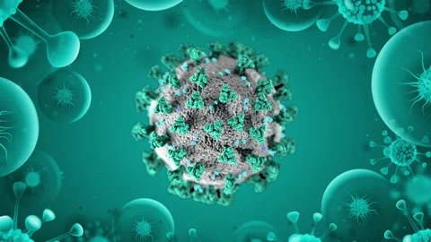 Covide-19 Virus 2D Animation C Stock Footage 147028496