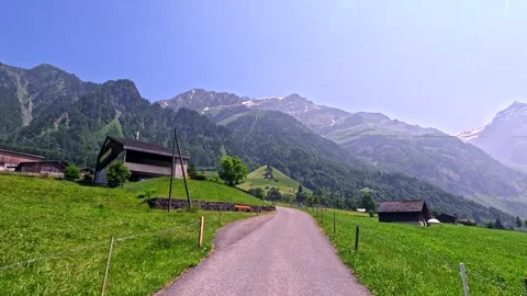 COW 1 库存影片 316697768