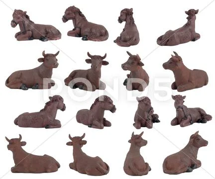 The cow and the donkey Stock Photos