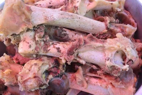 Cow bones for cooking, note select focus with shallow depth of field Stock Photos