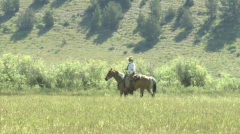 Cow Boy Roundup Stock Footage 576845