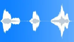 Cow ChorusSound Effect